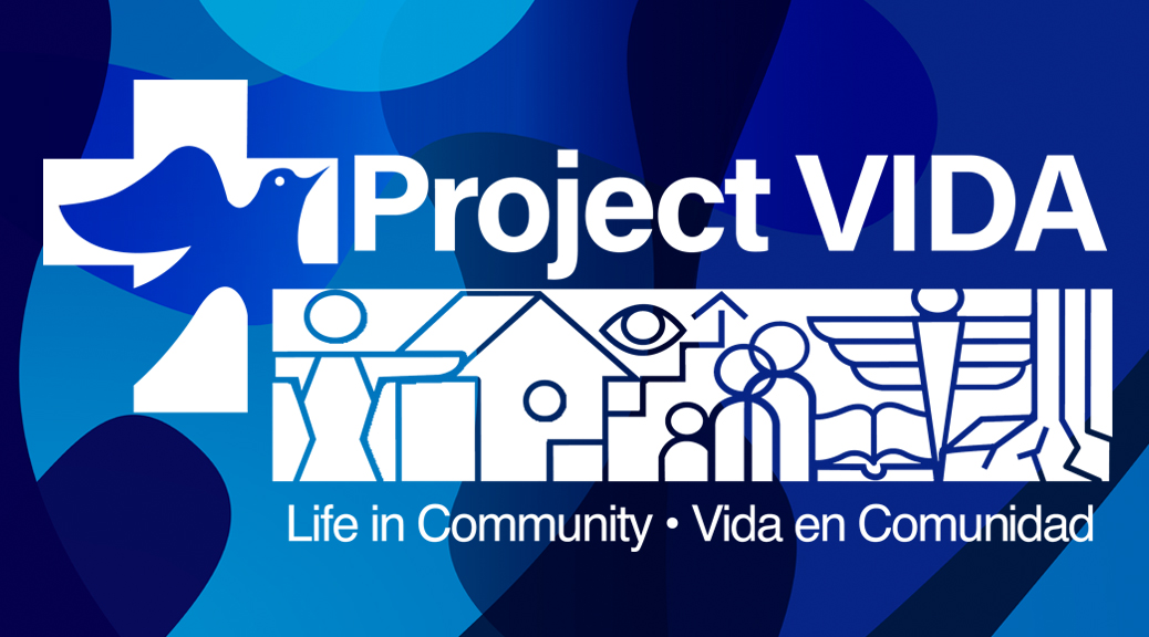 Project VIDA website design